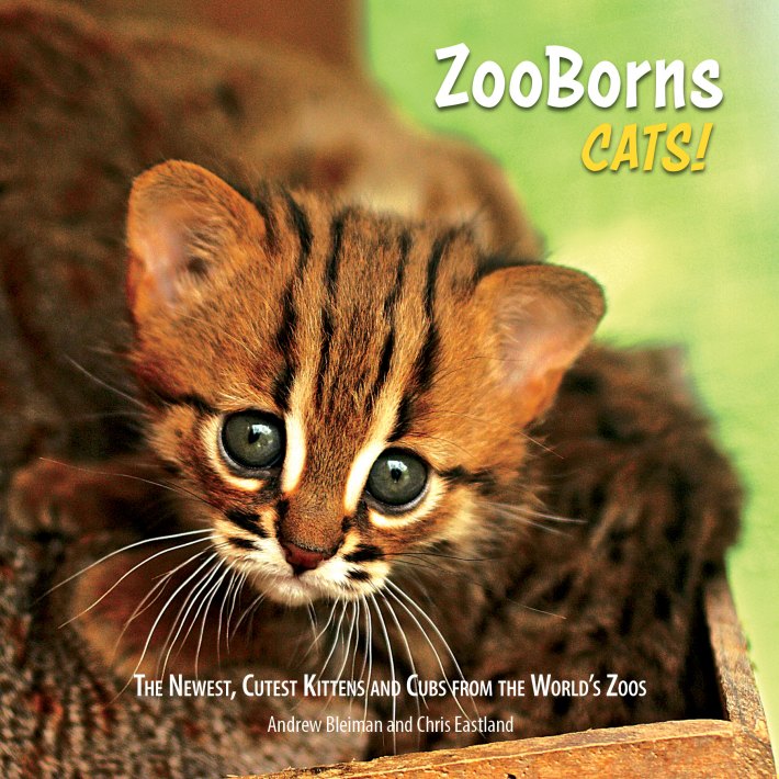 ZooBorns Cats!: The Newest, Cutest Kittens and Cubs from the World's Zoos