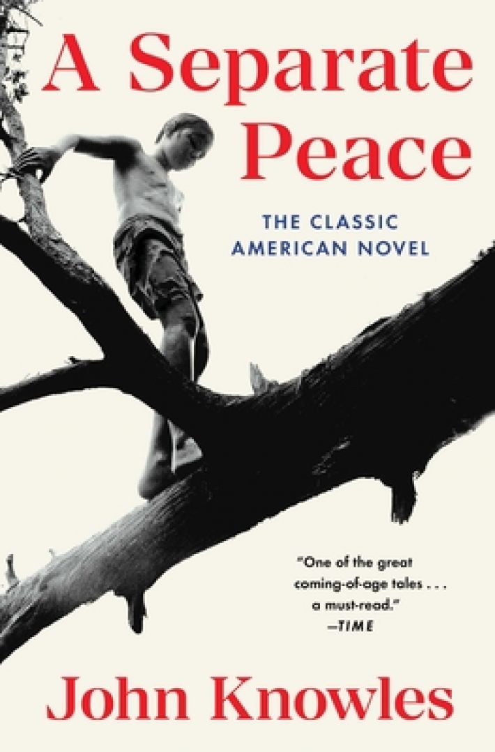 Knowles, J: Separate Peace