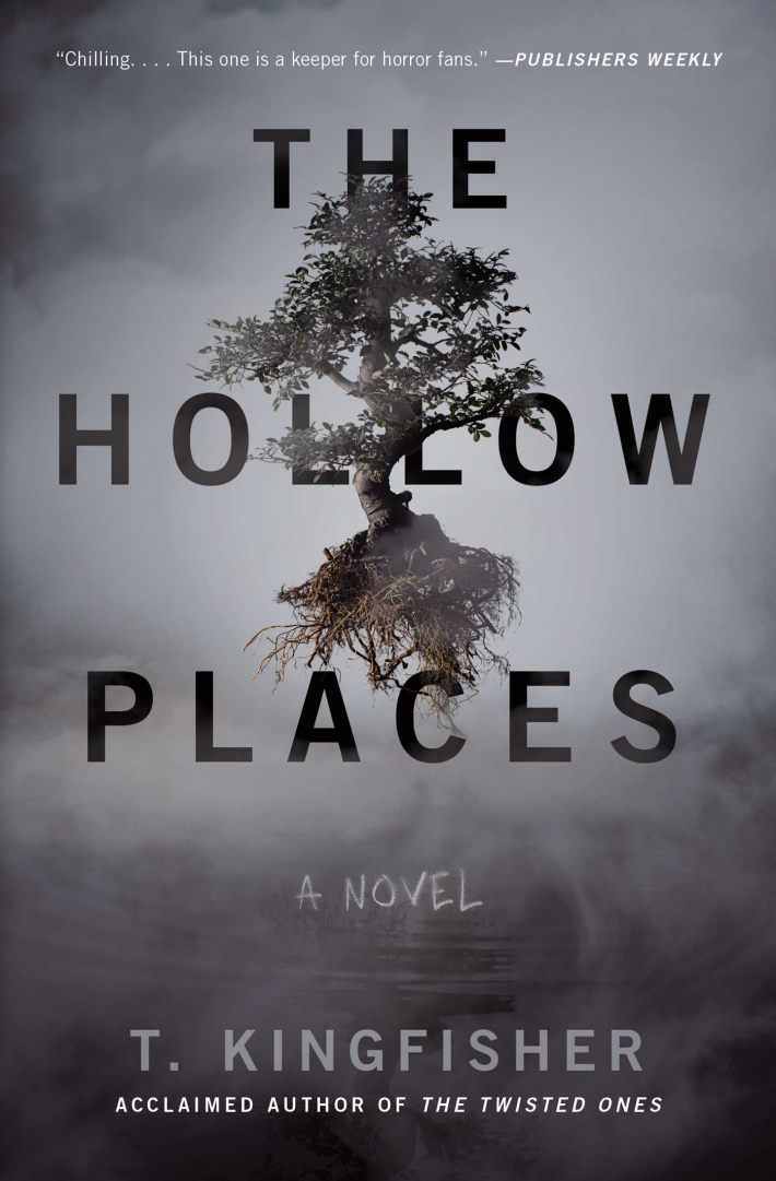 The Hollow Places The Hollow Places