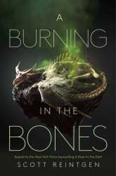 Reintgen, S: Burning in the Bones Reintgen, S: Burning in the Bones