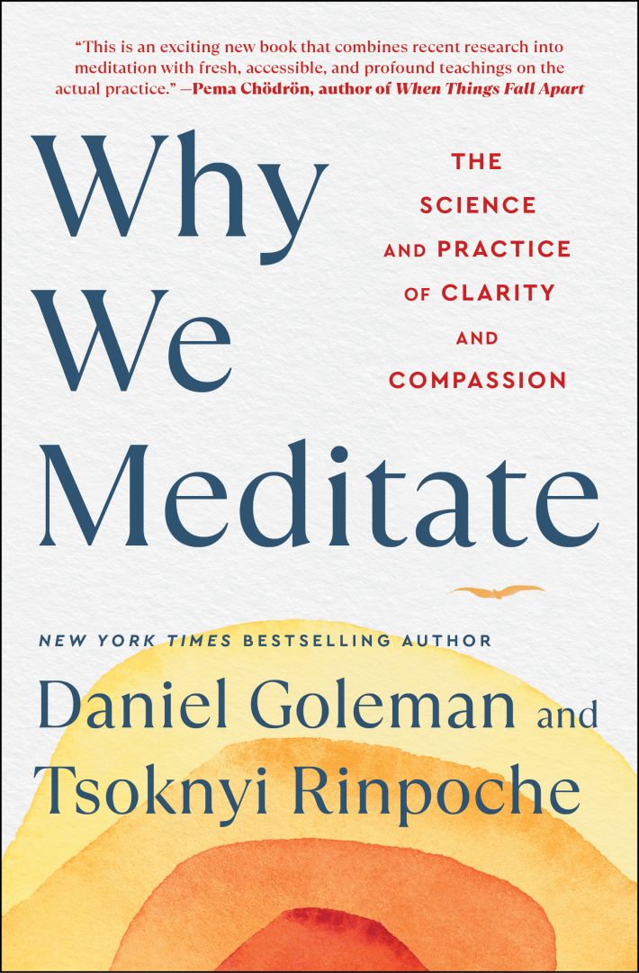 Why We Meditate Why We Meditate