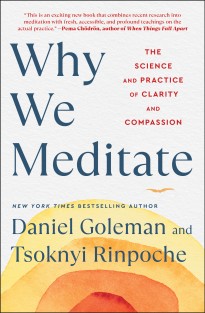 Why We Meditate Why We Meditate