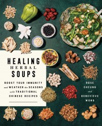 Healing Herbal Soups Healing Herbal Soups