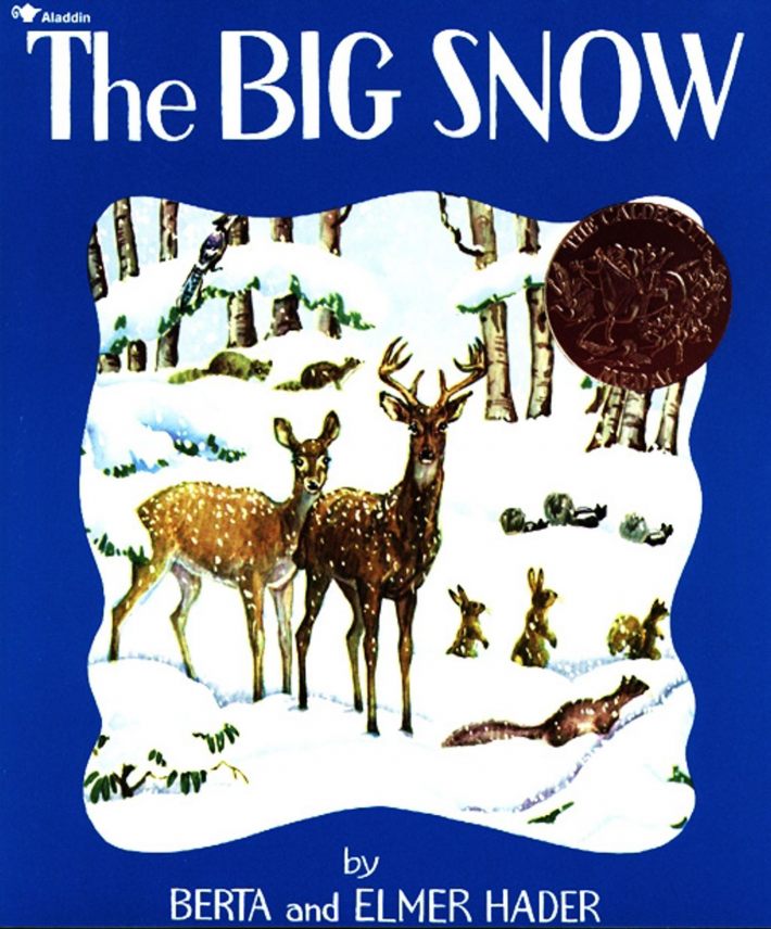 BIG SNOW 2/E BIG SNOW 2/E
