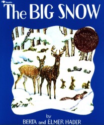 BIG SNOW 2/E BIG SNOW 2/E