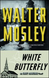 White Butterfly White Butterfly