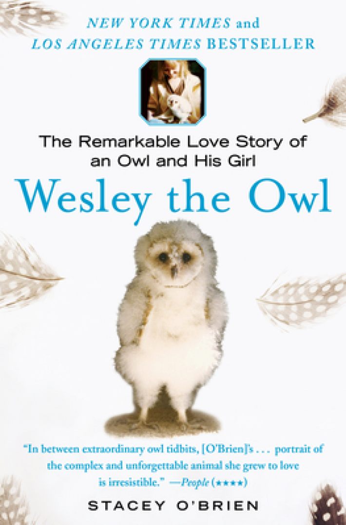 O'Brien, S: Wesley the Owl