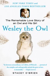 O'Brien, S: Wesley the Owl