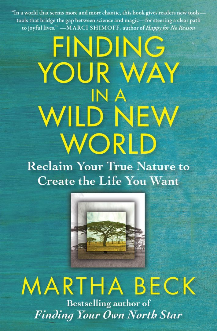 Finding Your Way in a Wild New World Finding Your Way in a Wild New World