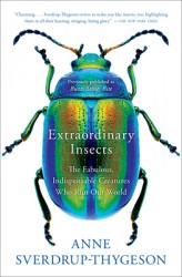Extraordinary Insects