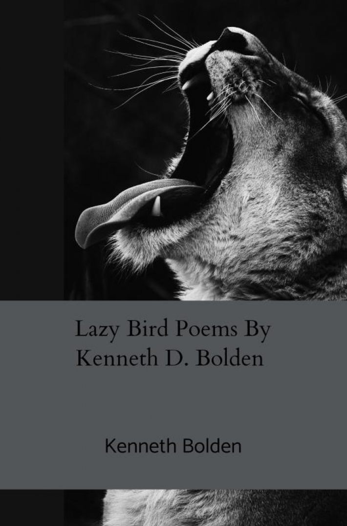 Lazy Bird Poems By Kenneth D. Bolden