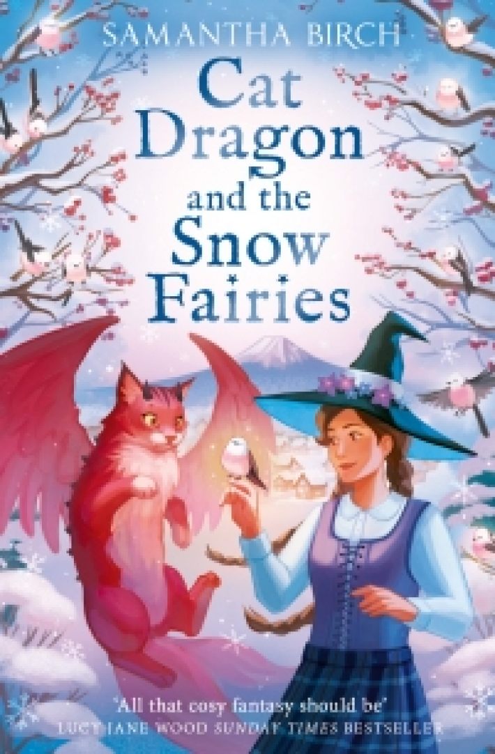 Cat Dragon and The Snow Fairies