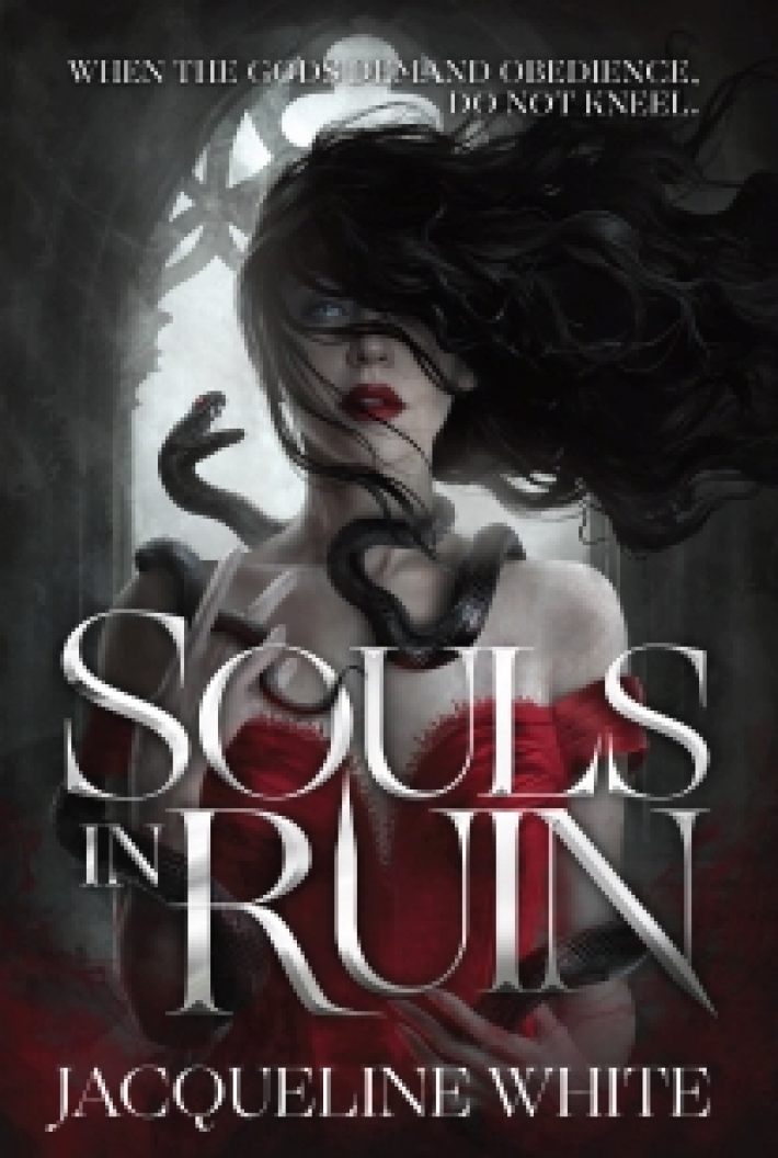 The Souls In Ruin The Souls In Ruin