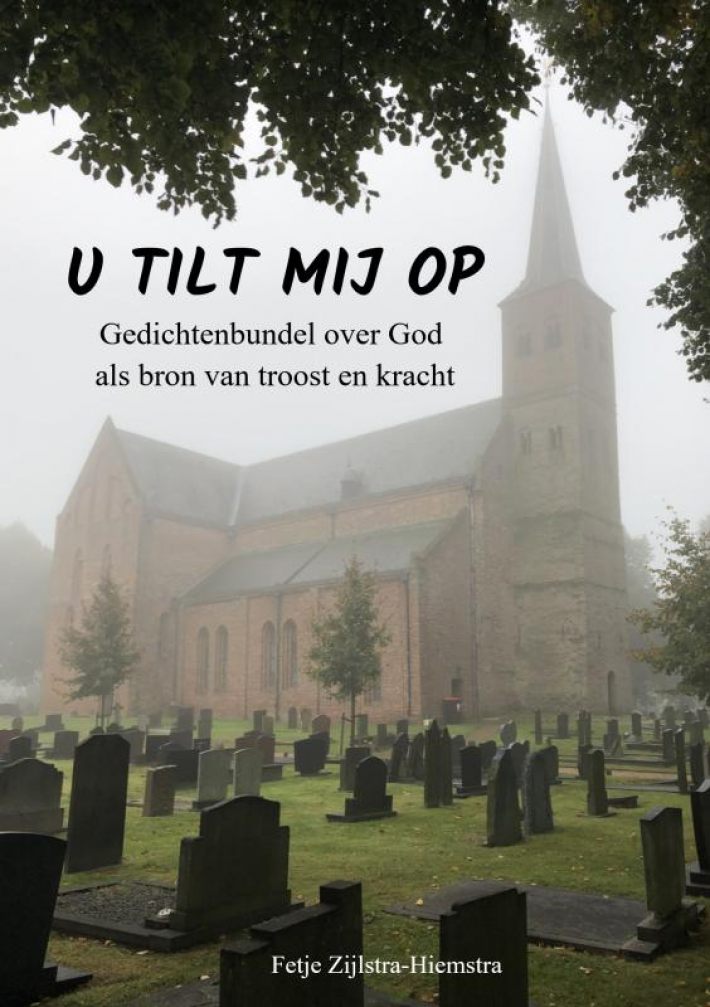 U tilt mij op U tilt mij op
