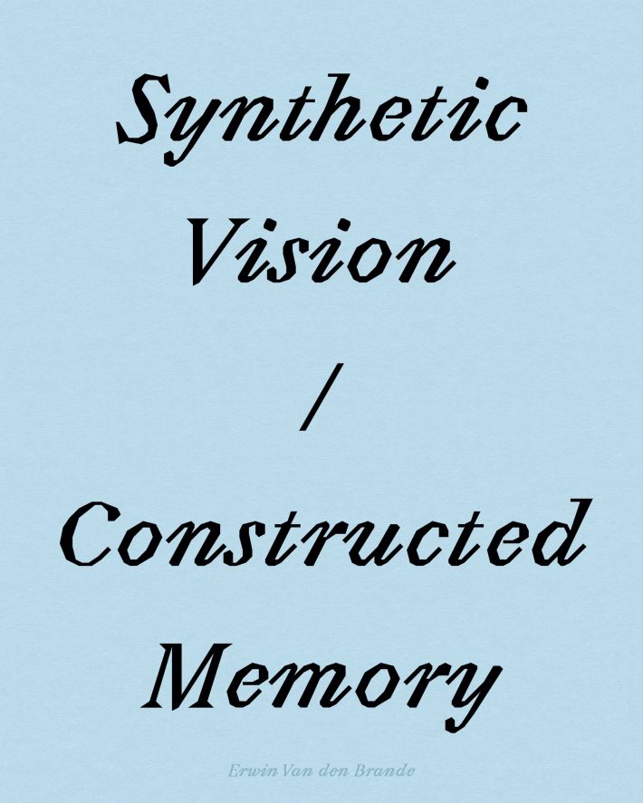 Synthetic Vision / Constructed Memory Synthetic Vision / Constructed Memory