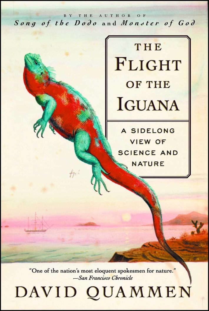 The Flight of the Iguana The Flight of the Iguana