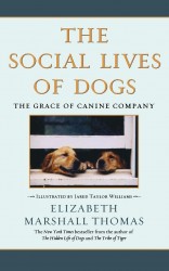 Social Lives of Dogs