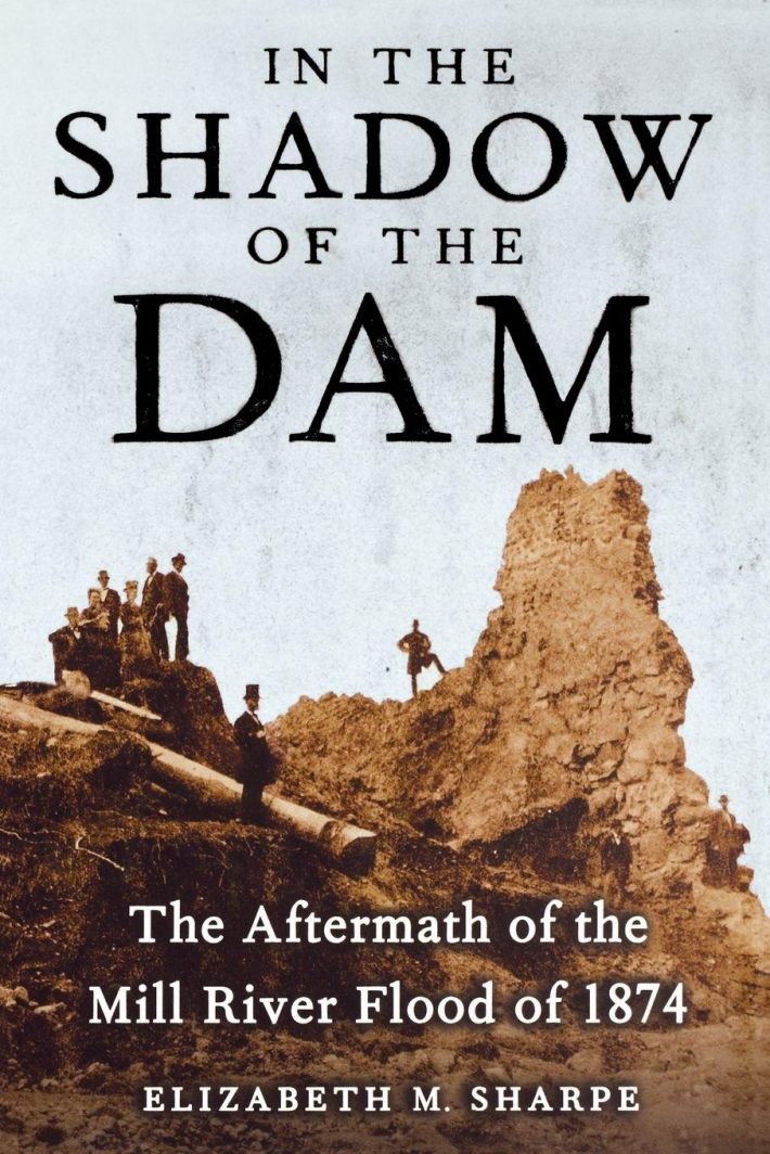 In the Shadow of the Dam, The Aftermath of the Mill River Flood of 1874
