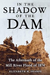 In the Shadow of the Dam, The Aftermath of the Mill River Flood of 1874