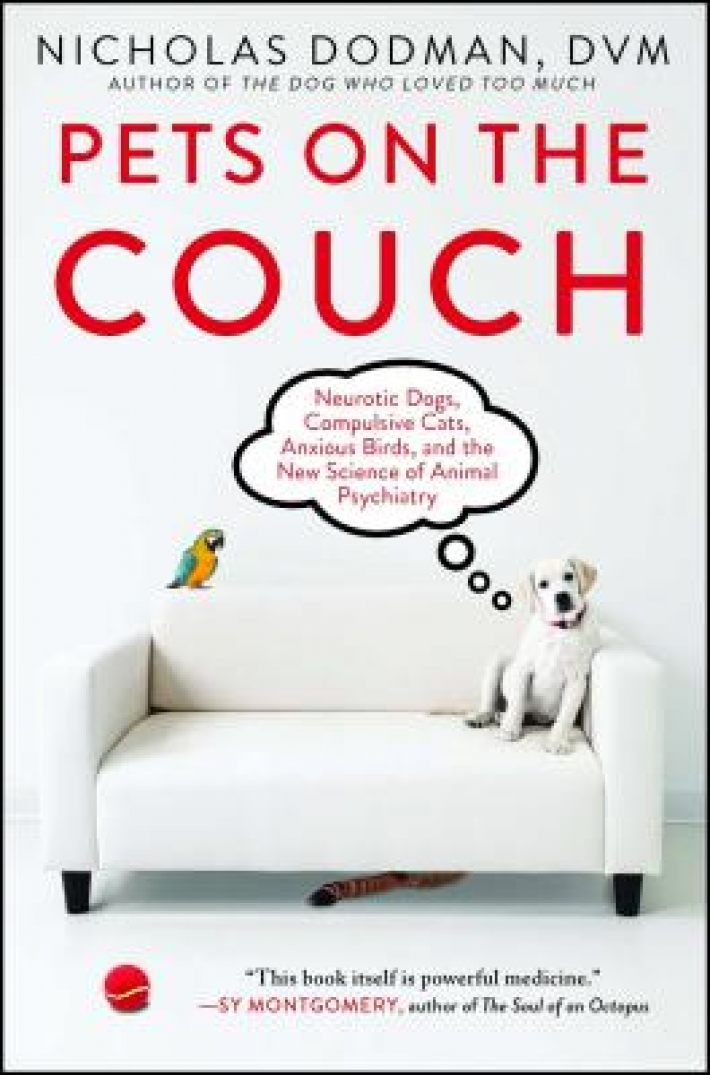 Pets on the Couch Pets on the Couch