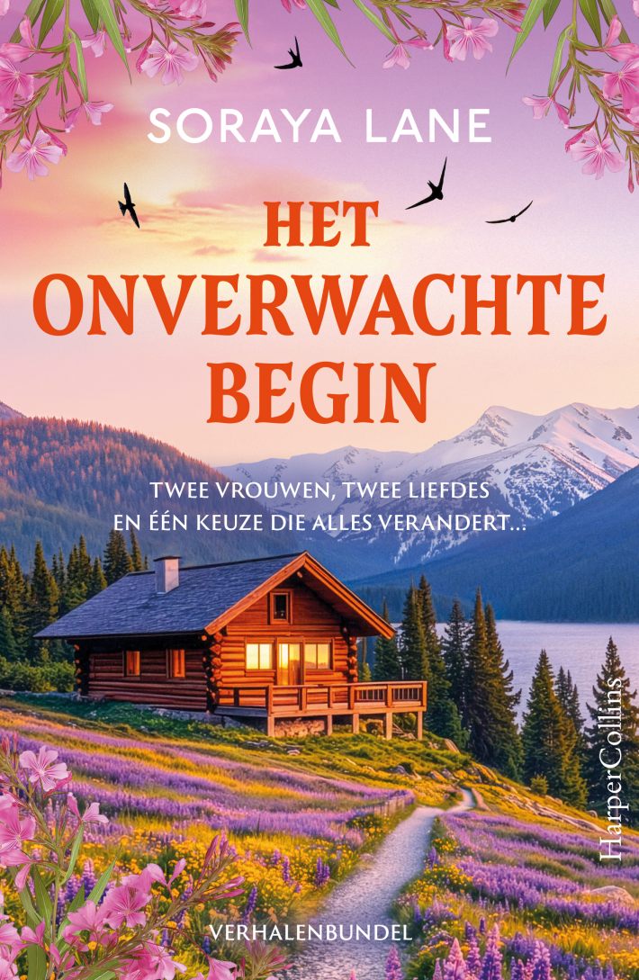 Het onverwachte begin &bullet; Het onverwachte begin