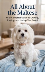 All About the Maltese