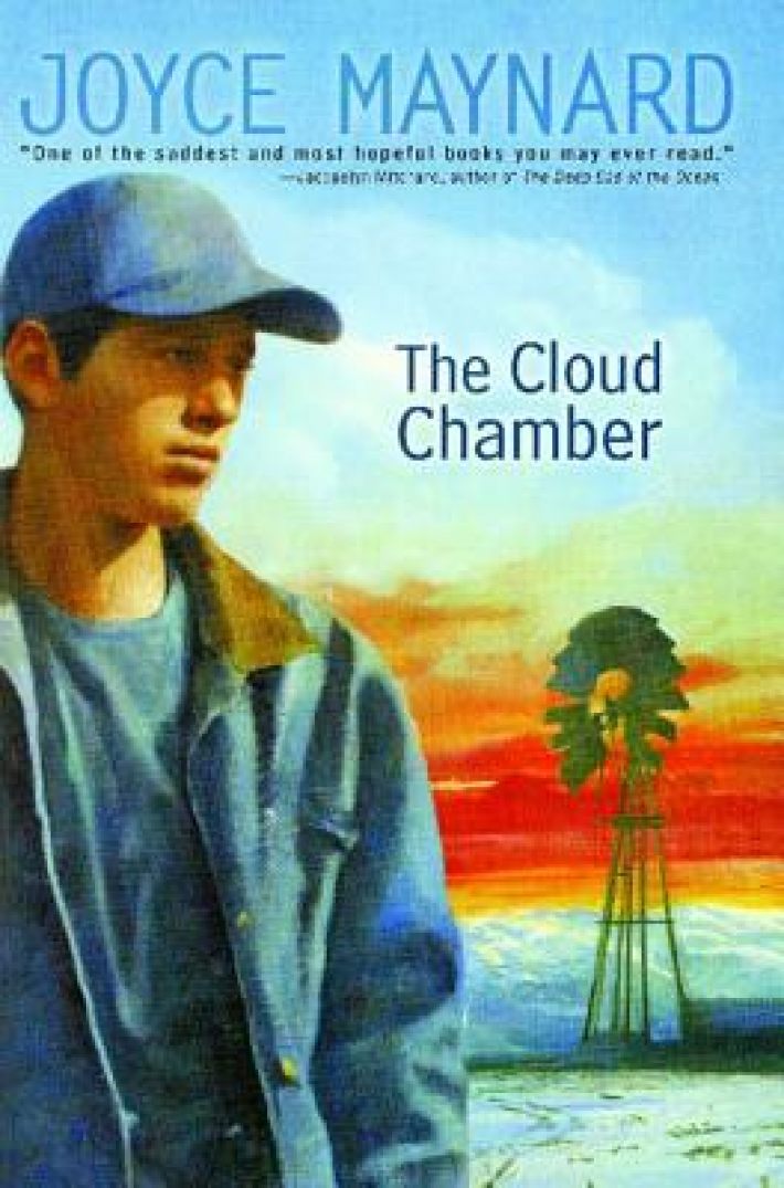 Maynard, J: Cloud Chamber