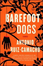 BAREFOOT DOGS