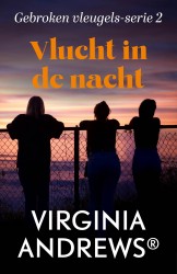 Vlucht in de nacht