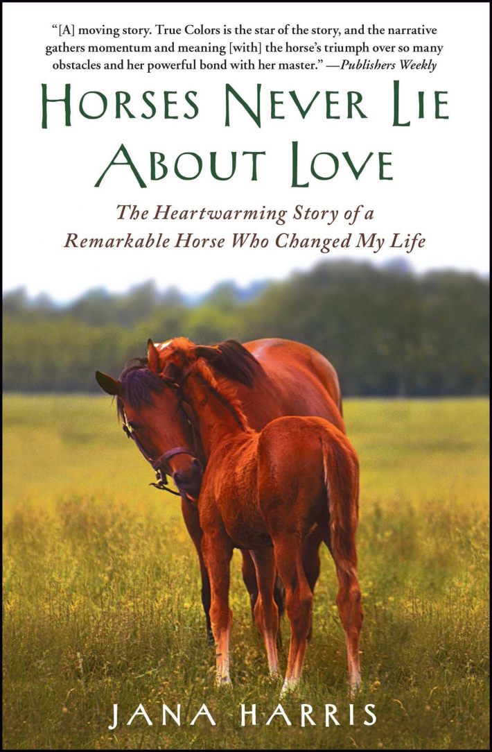 Horses Never Lie About Love
