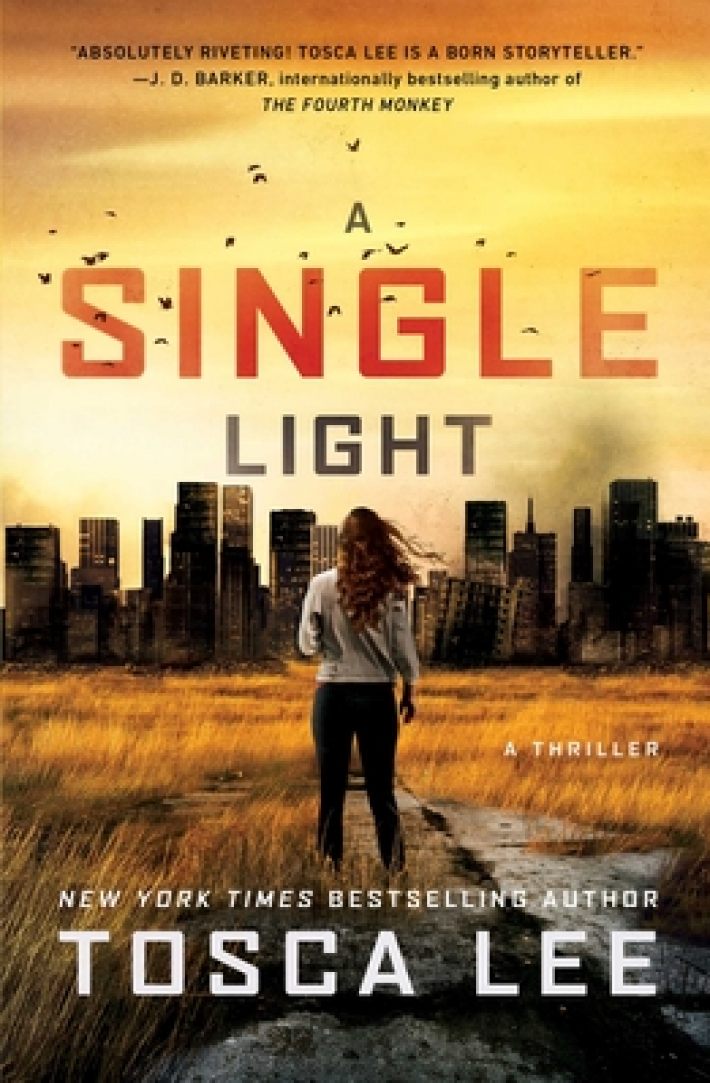 A Single Light A Single Light