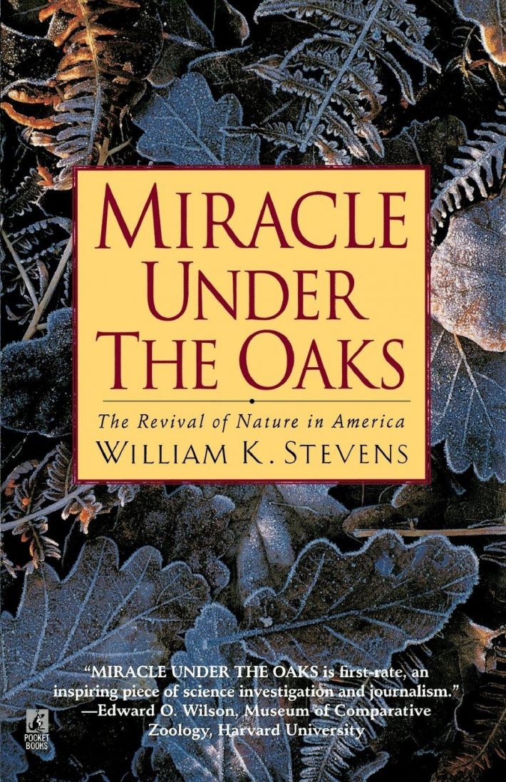 Miracle Under the Oaks Miracle Under the Oaks