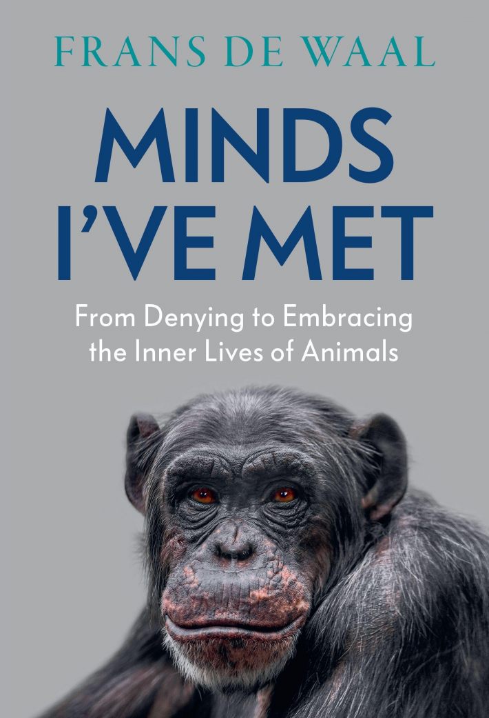 Minds I've Met Minds I've Met