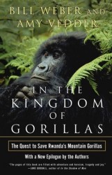 In the Kingdom of Gorillas