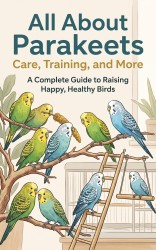 All About Parakeets: Care, Training, and More