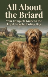 All About the Briard