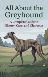 All About the Greyhound