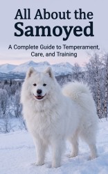 All About the Samoyed