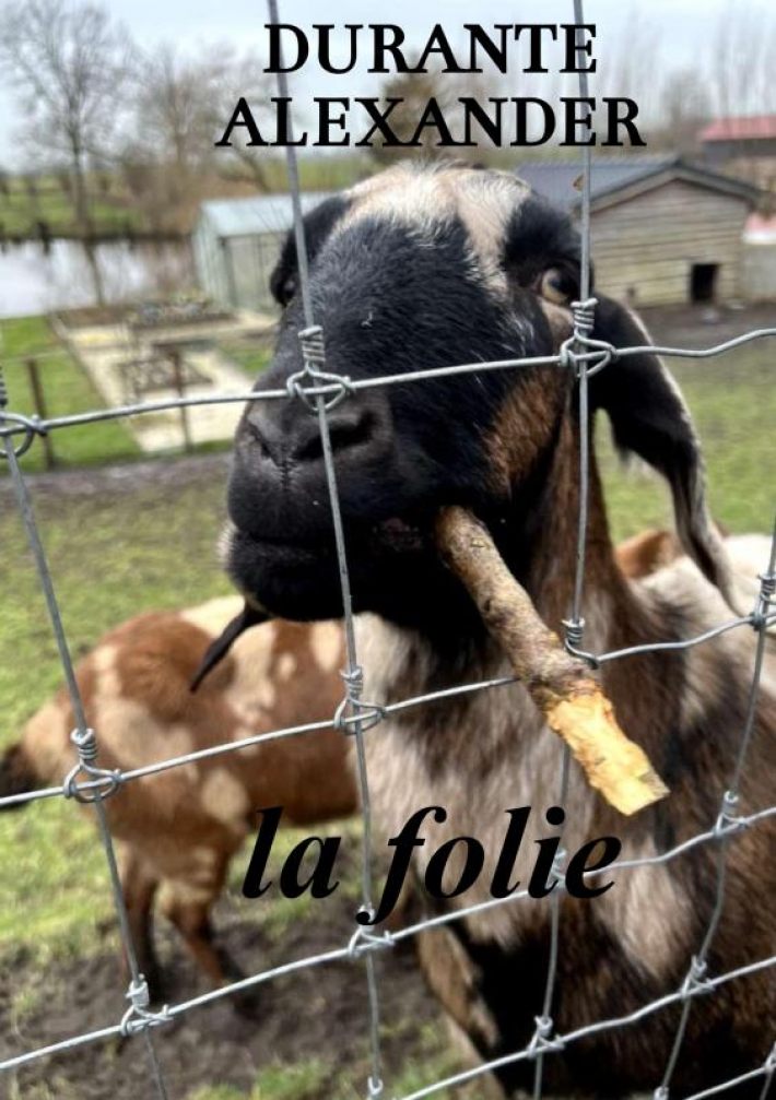 La folie