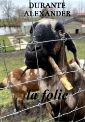 La folie