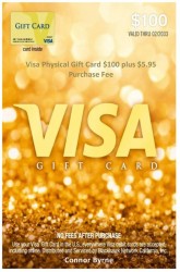 Visa Physical Gift Card $100 plus $5.95 Purchase Fee Visa Physical Gift Card $100 plus $5.95 Purchase Fee