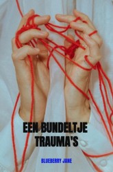 Een bundeltje Trauma's Een bundeltje Trauma's