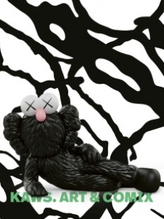 KAWS KAWS