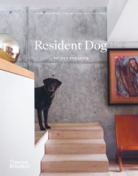 Resident Dog Resident Dog