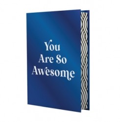 You Are So Awesome You Are So Awesome