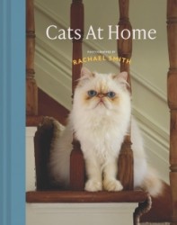 Cats at Home