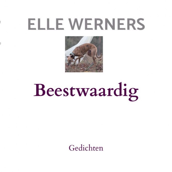 Beestwaardig