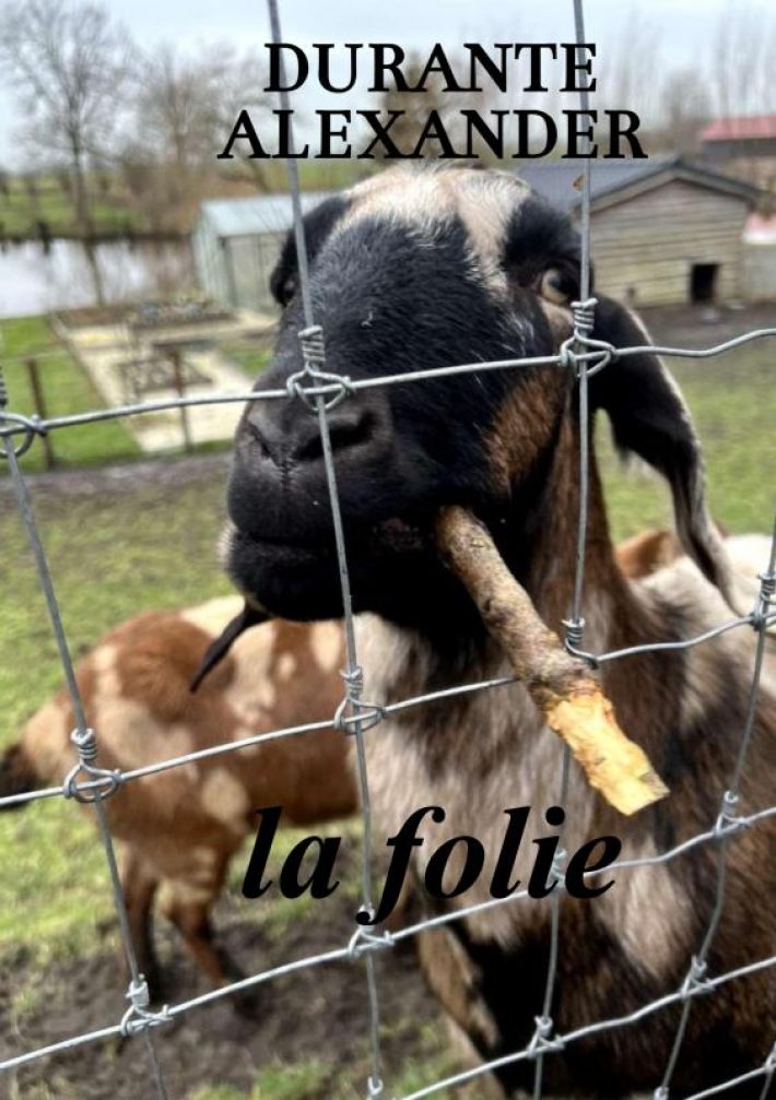 La folie La folie