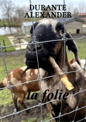 La folie