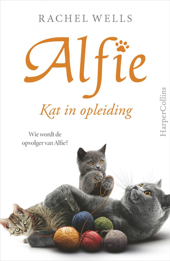 Kat in opleiding Kat in opleiding